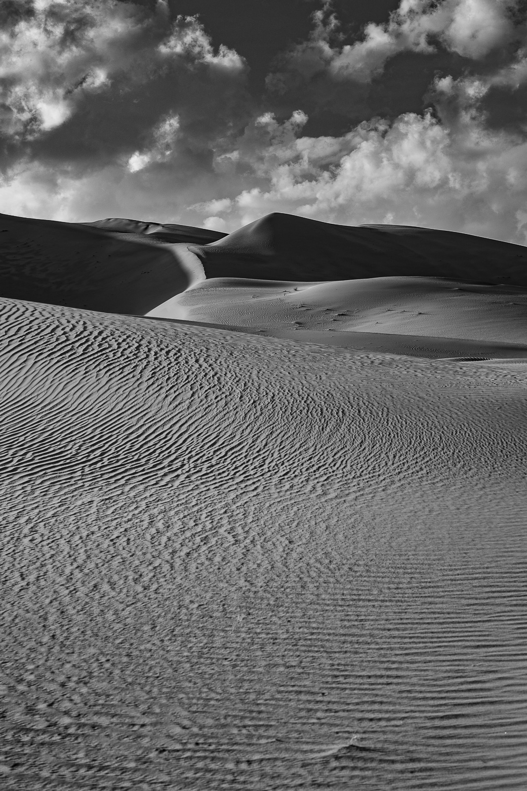 Human & Nature  outoftime 124